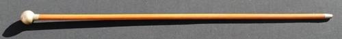 Berkshire Regiment Swagger Stick
