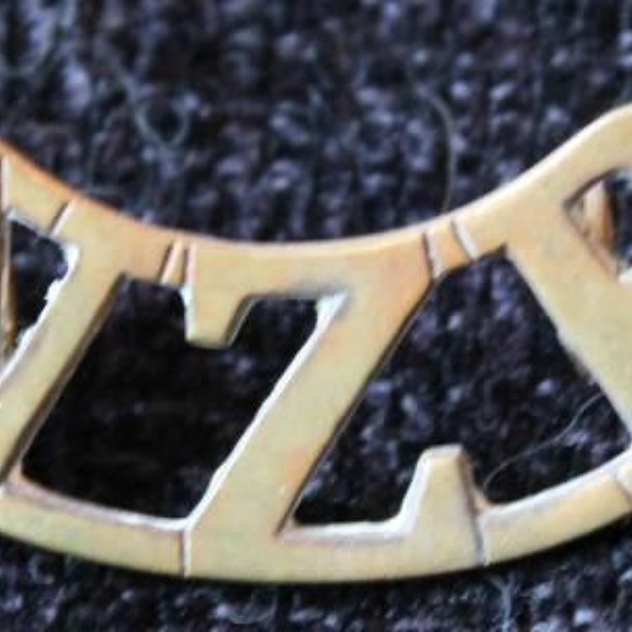 New Zealand Regiment Shoulder Title
