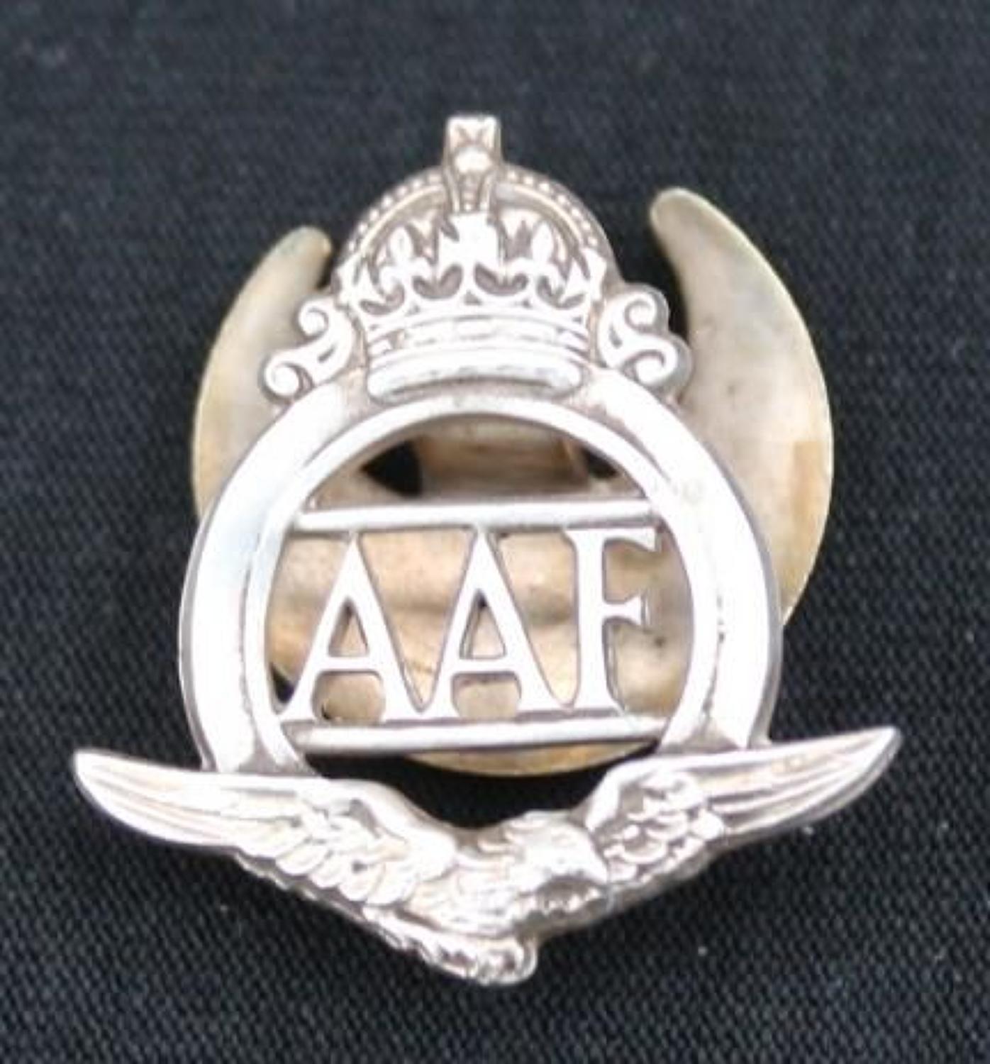 Auxiliary Air Force Lapel Badge